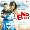 About No Entry Song